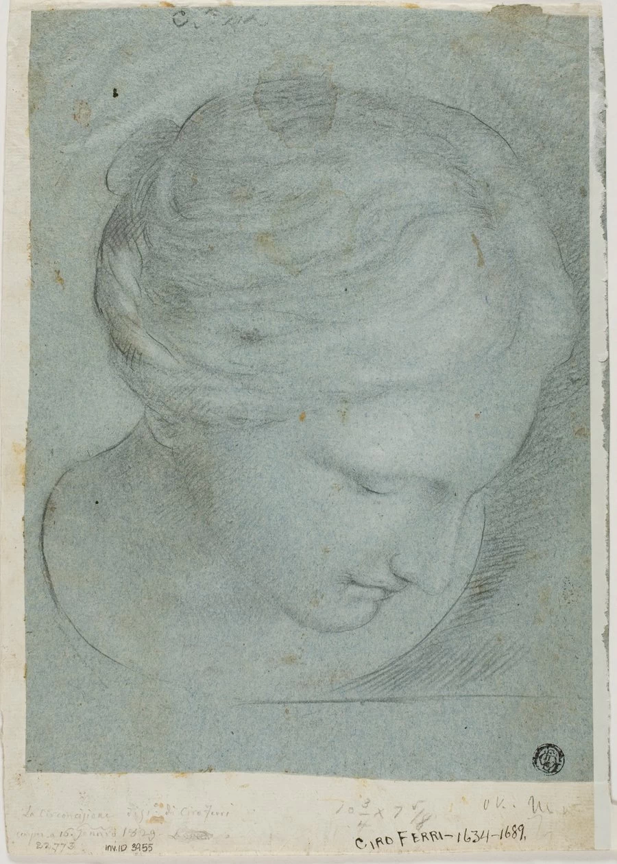 Testa femminile scolpita - Art Institute of Chicago